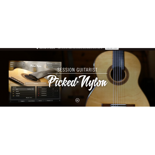 Session Guitarist SESSION GUITARIST – PICKED NYLON